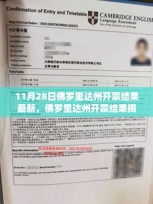 佛羅里達州開票結(jié)果揭曉，新篇章下的政治風云及其影響