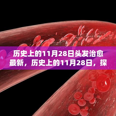 歷史上的11月28日，探尋頭發(fā)治愈的最新篇章??