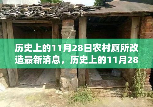 歷史上的11月28日，農(nóng)村廁所改造背后的勵志故事與變革力量最新消息