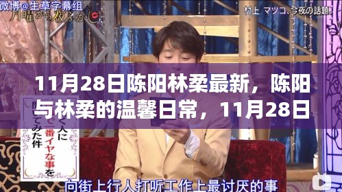 陳陽林柔的溫馨日常，11月28日的快樂時(shí)光記錄
