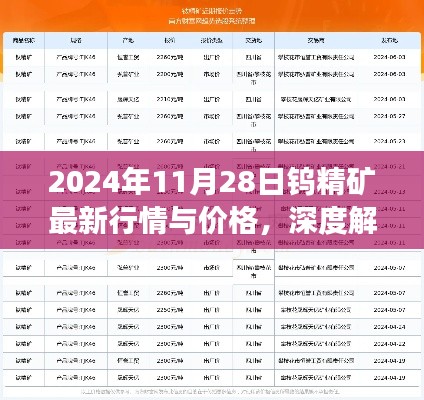 深度解析，2024年11月28日鎢精礦最新行情與價(jià)格展望