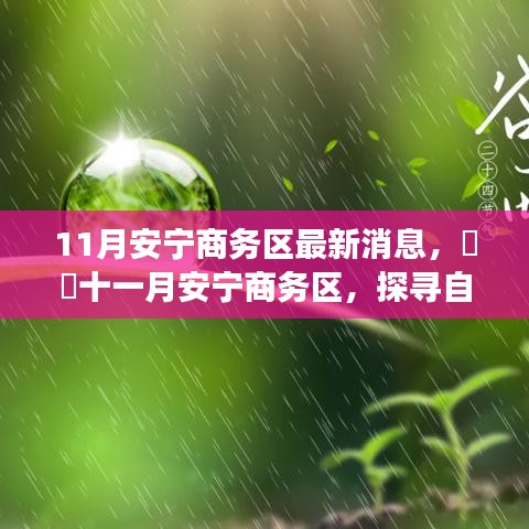 十一月安寧商務區(qū)最新動態(tài)，探尋自然秘境，啟程心靈之旅