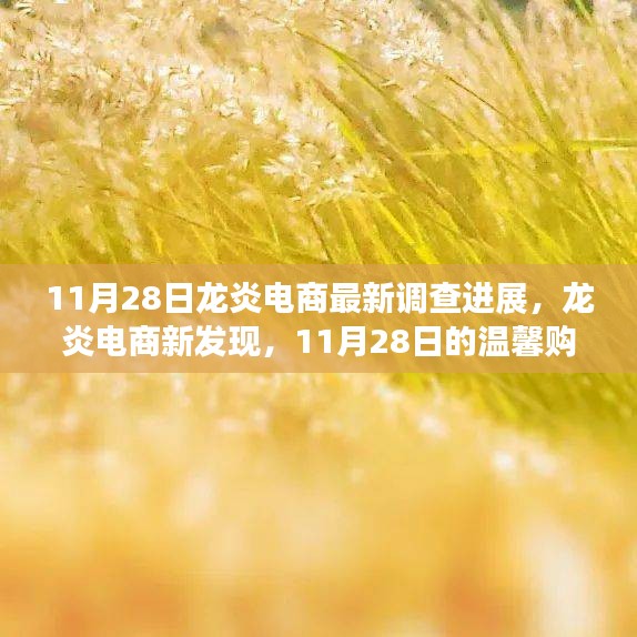龍炎電商最新調(diào)查進(jìn)展揭秘，溫馨購物日常故事與最新發(fā)現(xiàn)