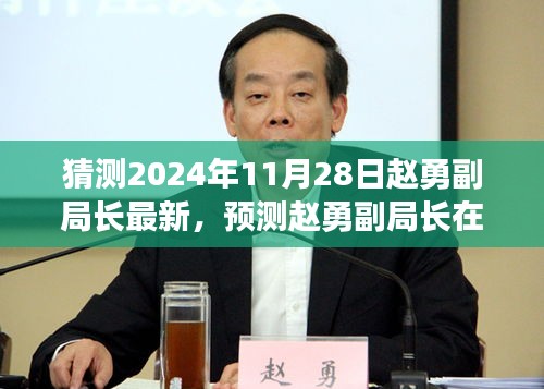 趙勇副局長最新動態(tài)預測，三大要點解析（2024年11月28日）