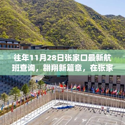 往年11月28日張家口最新航班查詢(xún)，翱翔新篇章，在張家口航班中找尋自信與成就感的飛翔之旅