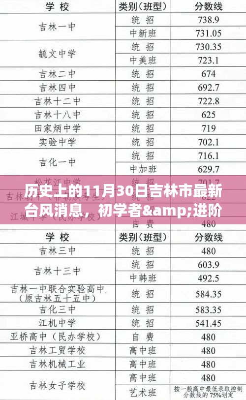 歷史上的11月30日吉林市最新臺風(fēng)消息，臺風(fēng)全解析與應(yīng)對指南（初學(xué)者與進(jìn)階用戶適用）