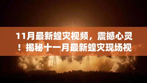 震撼心靈！揭秘十一月最新蝗災(zāi)現(xiàn)場實(shí)錄視頻