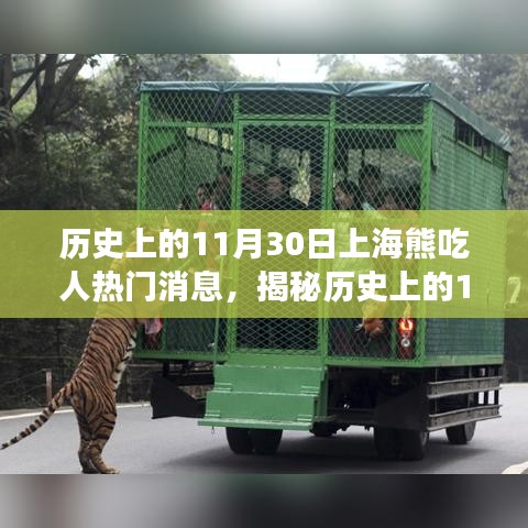 揭秘上海熊吃人事件，歷史真相與傳聞回顧（附日期，XX年XX月XX日）
