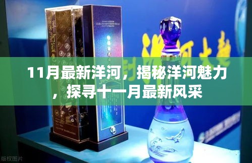 揭秘洋河魅力，十一月最新風采展示