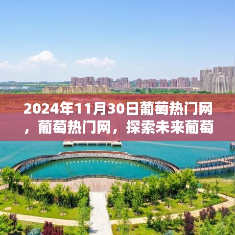 葡萄熱門網(wǎng)，探索未來葡萄產(chǎn)業(yè)的無盡潛力與機(jī)遇