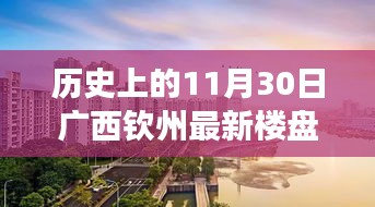 廣西欽州樓盤(pán)價(jià)格變遷揭秘，歷史價(jià)格回顧與最新樓盤(pán)查詢指南（初學(xué)者至進(jìn)階用戶必備）