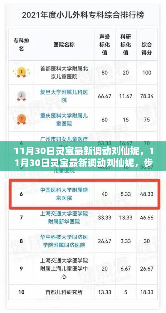 揭秘靈寶最新人事調(diào)動，劉仙妮的晉升之路與技能學(xué)習(xí)指南