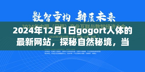 探秘gogort人體奧秘，心靈遇見奇妙旅程的秘境網(wǎng)站（最新更新）