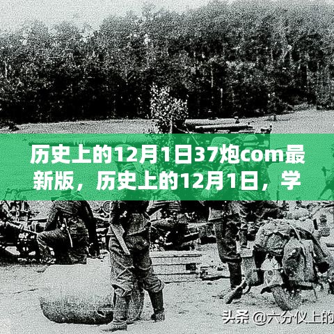 歷史上的12月1日，體驗(yàn)最新版37炮軟件的詳細(xì)安裝與體驗(yàn)指南
