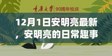 安明亮日常趣事，溫馨時光回顧，12月1日的精彩瞬間