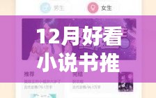 十二月最新熱門小說推薦與深度測評，不容錯過的閱讀盛宴