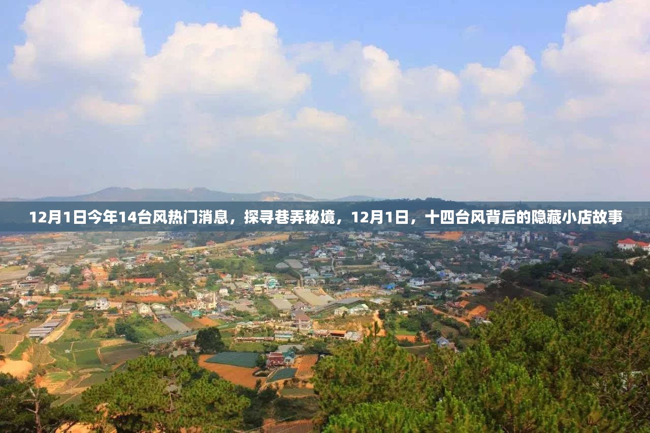 揭秘臺(tái)風(fēng)背后的隱藏小店故事，探尋巷弄秘境，臺(tái)風(fēng)熱門(mén)消息一覽