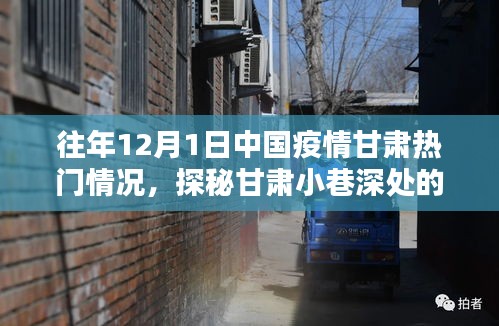 探秘甘肅疫情記憶與獨(dú)特風(fēng)味，一家隱藏于歲月靜好中的特色小店——?dú)v年甘肅疫情回顧與深度觀察（獨(dú)家報(bào)道）