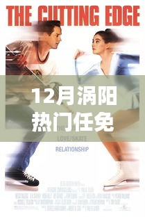 12月渦陽任免人員動態(tài)全解析，熱門任免指南（初學者與進階用戶必備）