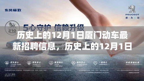 廈門動車招聘新動態(tài)及歷史解讀，特性、體驗與競品對比的全方位觀察