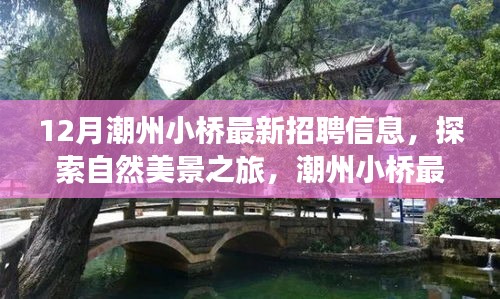 潮州小橋最新招聘啟事，啟程探索自然美景，尋找內(nèi)心的寧靜與平和之旅
