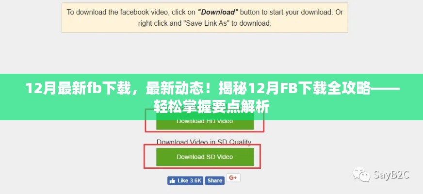 揭秘，最新動(dòng)態(tài)下的FB下載全攻略，輕松掌握要點(diǎn)解析