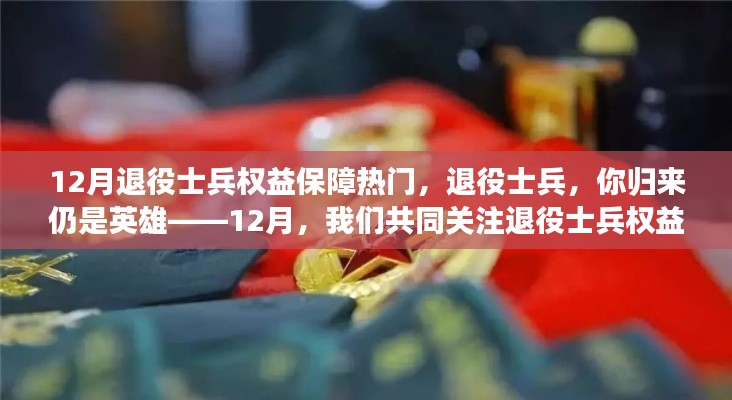 關(guān)注退役士兵權(quán)益保障，歸來仍是英雄，共同前行之路在十二月揭曉