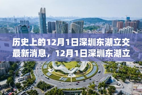 深圳東湖立交新進(jìn)展，自然美景的心靈之旅啟程日紀(jì)念報(bào)道