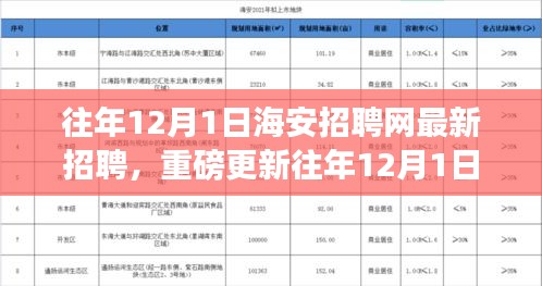 往年12月1日海安招聘網(wǎng)最新職位信息揭秘，求職者福音