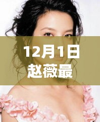 趙薇12月1日最新動(dòng)態(tài)，溫馨日常與友情陪伴的故事