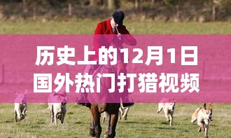 十二月一日國外打獵視頻，歷史視角下的文化解讀與爭議