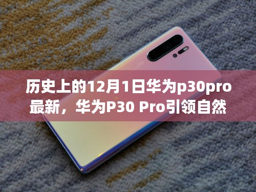 華為P30 Pro引領(lǐng)自然探索之旅，一場歷史與科技的奇妙旅程（最新資訊）