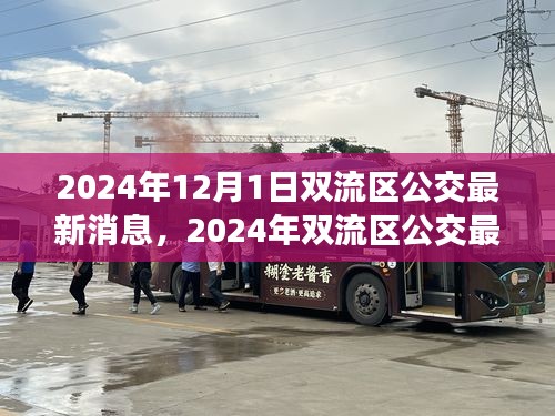 2024年雙流區(qū)公交最新消息詳解，獲取與使用公交服務(wù)的全面指南