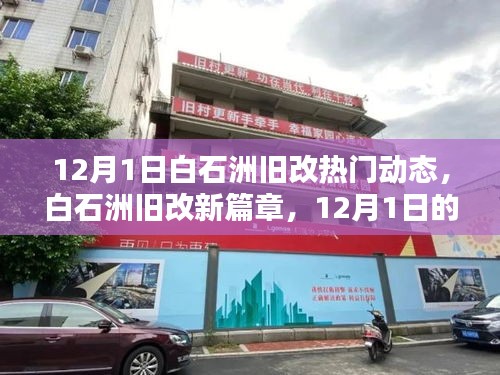 白石洲舊改新篇章，12月1日的日常與友情印記，熱議動(dòng)態(tài)揭秘