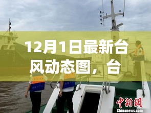 臺風逆襲背后的力量與樂觀幽默，最新動態(tài)圖解析