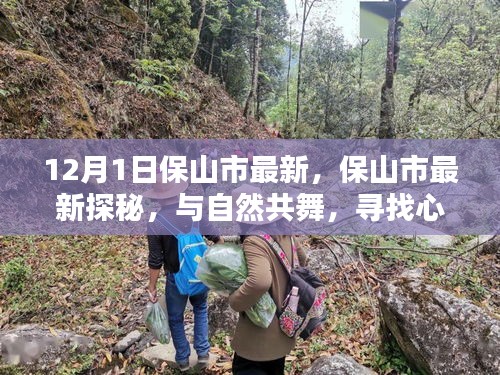 保山市最新探秘，與自然共舞，尋找心靈的寧靜圣地之旅
