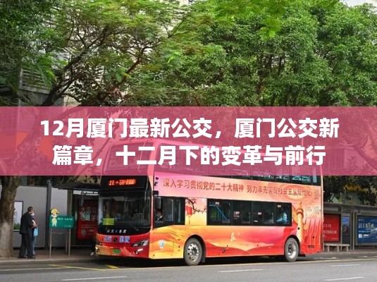 廈門公交新篇章，十二月下的變革與前行之路