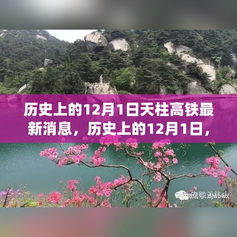 天柱高鐵最新進(jìn)展報(bào)道，歷史上的12月1日最新消息速遞