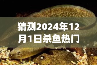 揭秘小巷深處的特色小店，預測未來殺魚熱門套路，味蕾與獵奇的盛宴（XXXX年殺魚新趨勢）