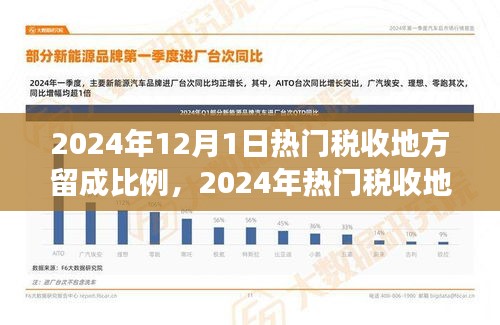 揭秘2024年熱門(mén)稅收地方留成比例，查詢(xún)與解讀指南