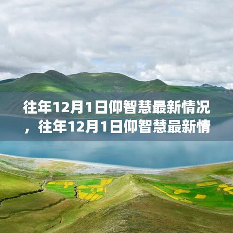 往年12月1日仰智慧最新情況詳解，初學者與進階用戶的探索步驟指南