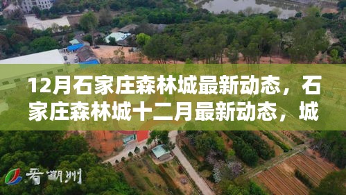 石家莊森林城十二月最新動(dòng)態(tài)，城市綠肺新篇章開(kāi)啟