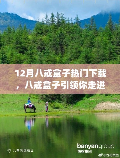 八戒盒子引領(lǐng)心靈之旅，12月熱門下載開啟自然美景探索之旅