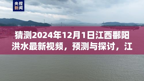 江西鄱陽(yáng)湖區(qū)洪水現(xiàn)象觀察與預(yù)測(cè)，聚焦2024年12月1日的最新視頻探討