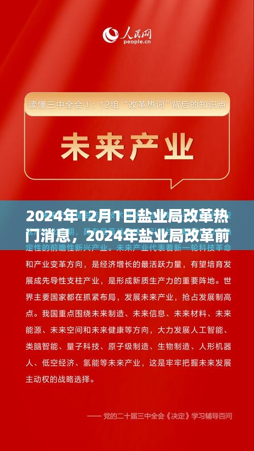 鹽業(yè)局改革前沿動態(tài)，創(chuàng)新策略與未來展望（2024年鹽業(yè)局改革熱門消息）