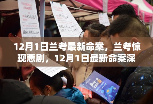 蘭考悲劇揭秘，深度解析最新命案內(nèi)幕