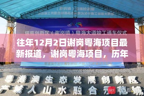 謝崗粵海項目歷年深度解讀與最新進展報道，歷年12月2日最新報道匯總分析