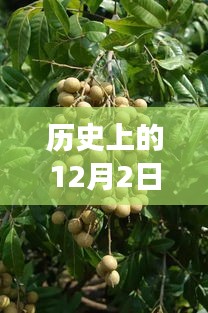 歷史上的今天，西安桂圓西苑科技新品重磅發(fā)布，智能革命風暴掀起未來科技新生活體驗