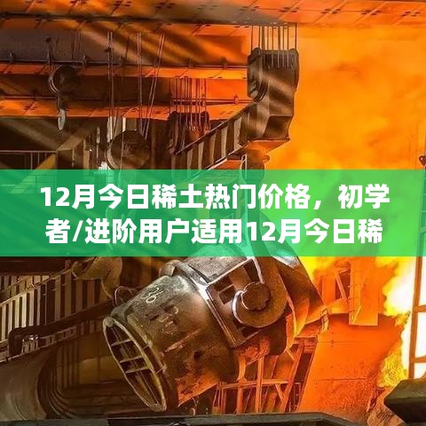 12月今日稀土熱門價格詳解，初學者與進階用戶查詢及解讀指南