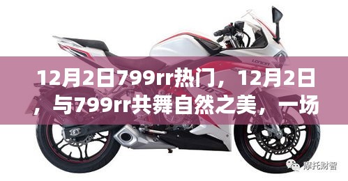 12月2日與799rr共舞自然，奇妙旅行尋找內(nèi)心平靜之旅